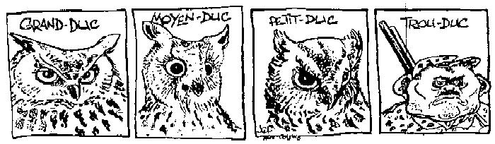 histoire de ducs