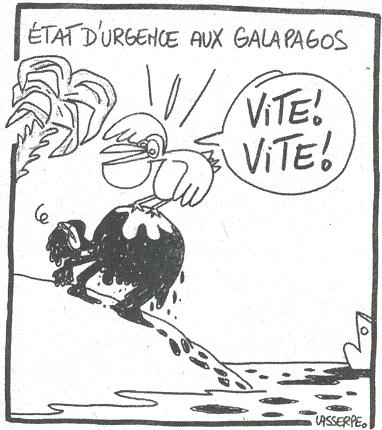 Galapagos: vite, vite!...