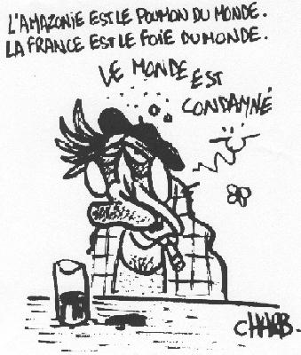 Amazonie = poumon du monde; France = foie du monde