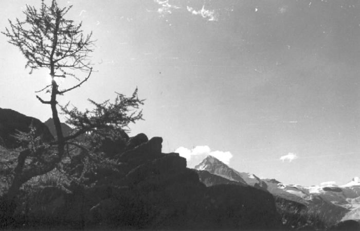 Bréonnaz
(Valais)